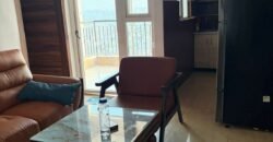 Ultra Luxury Fully Furnished 1bhk for rent in 14th Avenue Gaur City-2 Greater Noida West