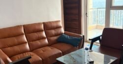 Ultra Luxury Fully Furnished 1bhk for rent in 14th Avenue Gaur City-2 Greater Noida West