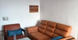 Ultra Luxury Fully Furnished 1bhk for rent in 14th Avenue Gaur City-2 Greater Noida West
