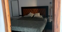 Ultra Luxury Fully Furnished 1bhk for rent in 14th Avenue Gaur City-2 Greater Noida West