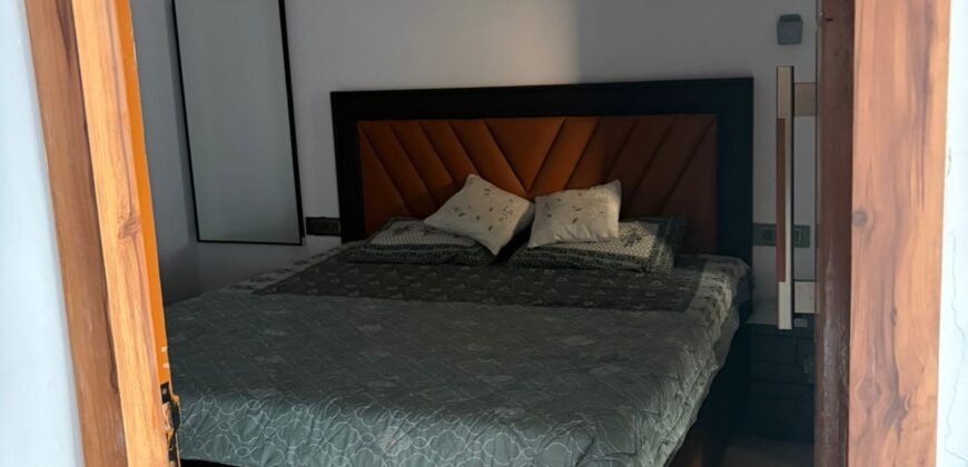 Ultra Luxury Fully Furnished 1bhk for rent in 14th Avenue Gaur City-2 Greater Noida West