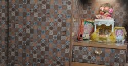1 bhk Fully Furnished for Rent in 14th Avenue Gaur City-2 Greater Noida West
