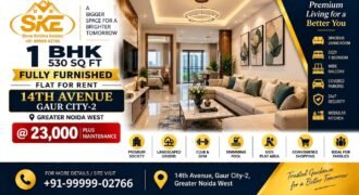 1 BHK Fully Furnished Flat for Rent in 14th Avenue Gaur City 2